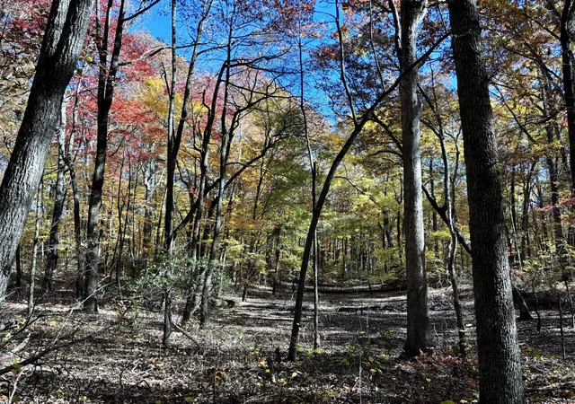 3rd image of 0 Harrison Ferry Rd, Mc Minnville, TN 37110 | MLS# 2813087