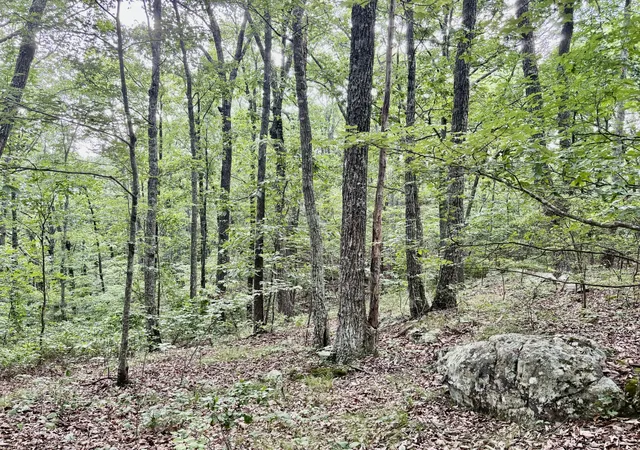 15th image of 0 Harrison Ferry Rd, Mc Minnville, TN 37110 | MLS# 2813087