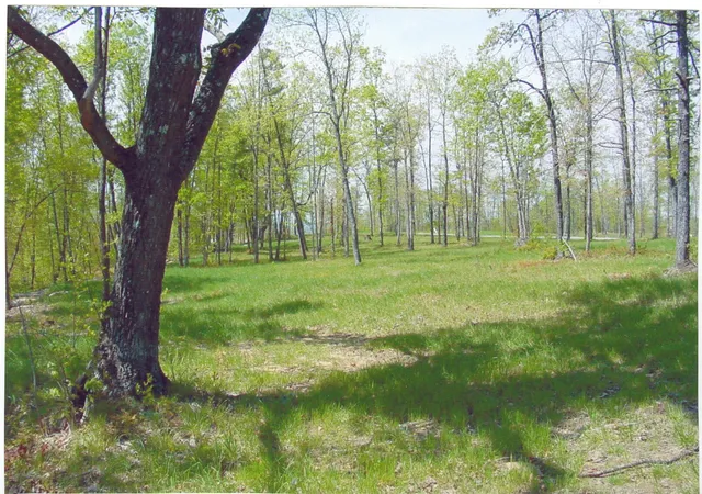 1st image of 22 Greenfields Way S, Dunlap, TN 37327 | MLS# 2821098