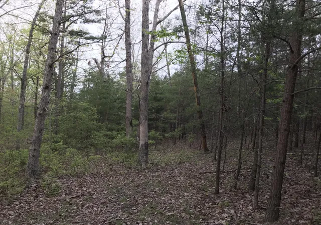 5th image of 22 Greenfields Way S, Dunlap, TN 37327 | MLS# 2821098