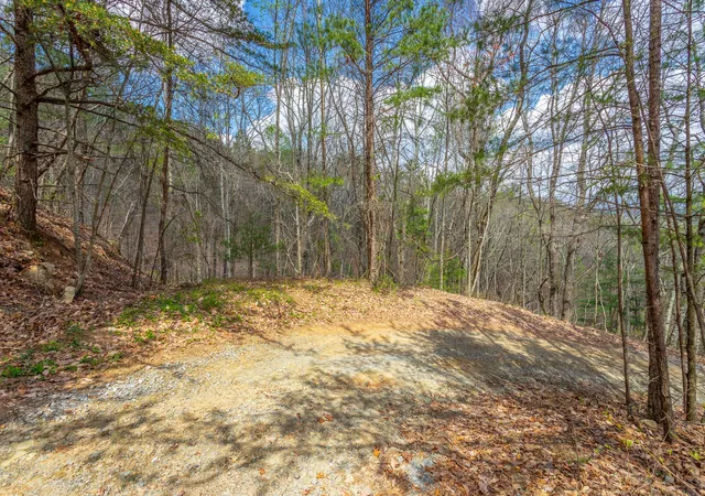 2nd image of 0 Grace Court, Ellijay, GA 30540 | MLS# 2815166