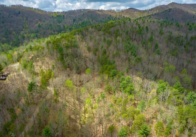 1st image of 0 Grace Court, Ellijay, GA 30540 | MLS# 2815166