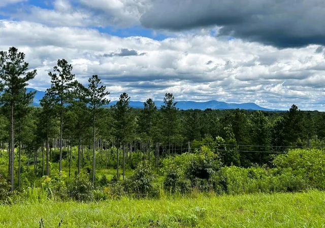 Photo 1 of Land for sale at 26 Hughes Lake Road Se, Cleveland, TN 37323 | MLS# 3244180 | Listing updated on 2026-08-13