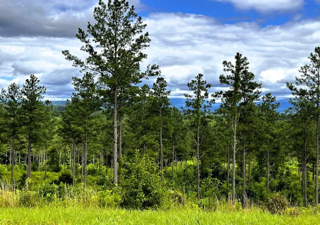Photo 3 of Land for sale at 26 Hughes Lake Road Se, Cleveland, TN 37323 | MLS# 3244180 | Listing updated on 2026-08-13