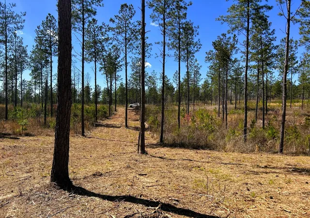 2nd image of 26 Hughes Lake Road Se, Cleveland, TN 37323 | MLS# 3244186