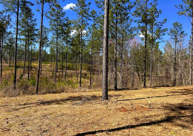 3rd image of 26 Hughes Lake Road Se, Cleveland, TN 37323 | MLS# 3244186