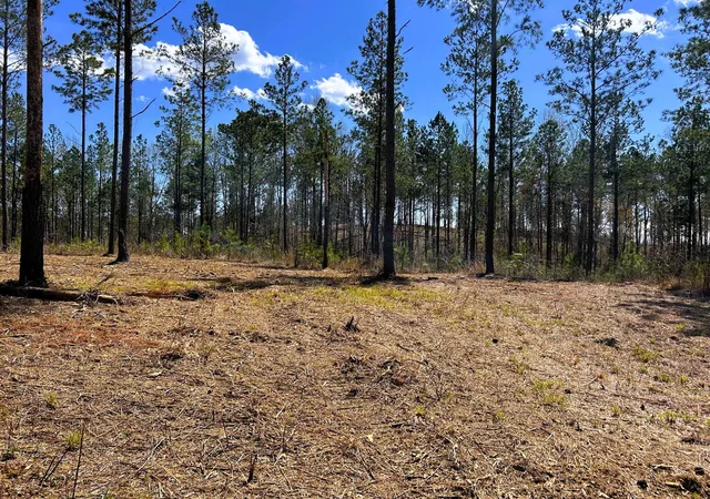 5th image of 26 Hughes Lake Road Se, Cleveland, TN 37323 | MLS# 3244186
