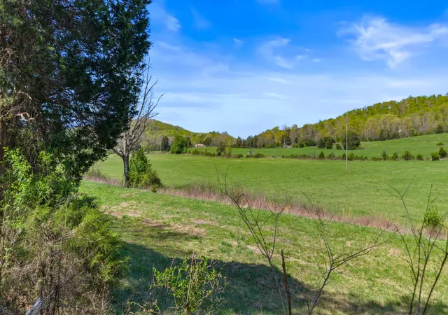 9th image of 0 Dogtown Road Road, Ten Mile, TN 37880 | MLS# 3216834
