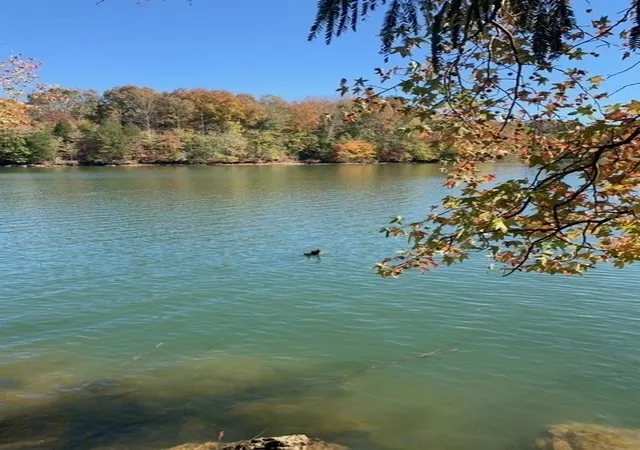 2nd image of 0 Grandview Lake Rd Lot 4, Estill Springs, TN 37330 | MLS# 2816386