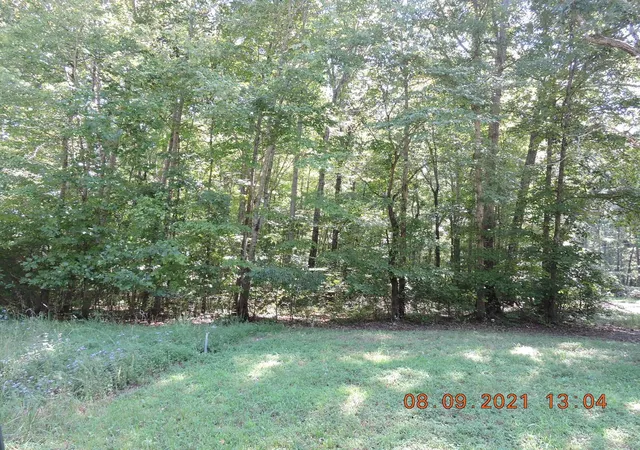 4th image of 0 Hasty Ln Lot 1, Estill Springs, TN 37330 | MLS# 2816389