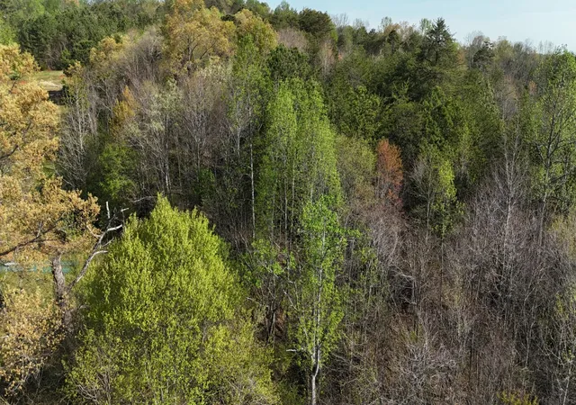 Photo 1 of Land for sale at 0 County Rd 675, Athens, TN 37303 | MLS# 3301813 | Listing updated on 2026-08-13