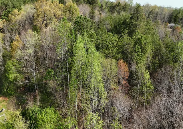 Photo 2 of Land for sale at 0 County Rd 675, Athens, TN 37303 | MLS# 3301813 | Listing updated on 2026-08-13