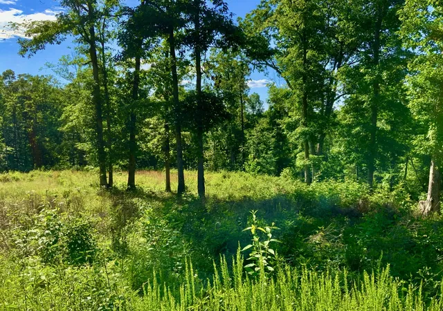 Land for sale at 0 Bear Holw Dr, Waverly, TN 37185 | MLS# 2817202 | Listing updated on 2025-10-02