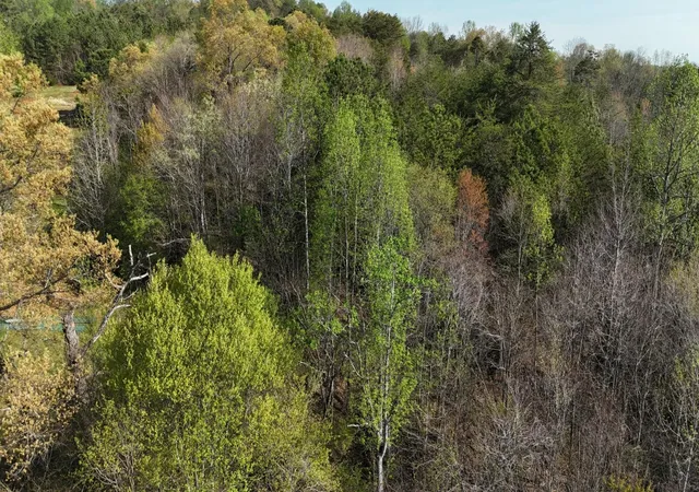 1st image of 0 County Road 675, Athens, TN 37303 | MLS# 3521178