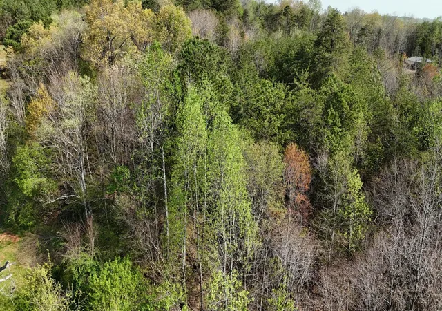 2nd image of 0 County Road 675, Athens, TN 37303 | MLS# 3521178
