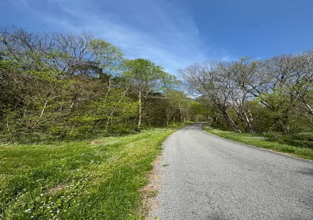 5th image of 0 Funn Branch Rd, Pleasant Shade, TN 37145 | MLS# 2819346
