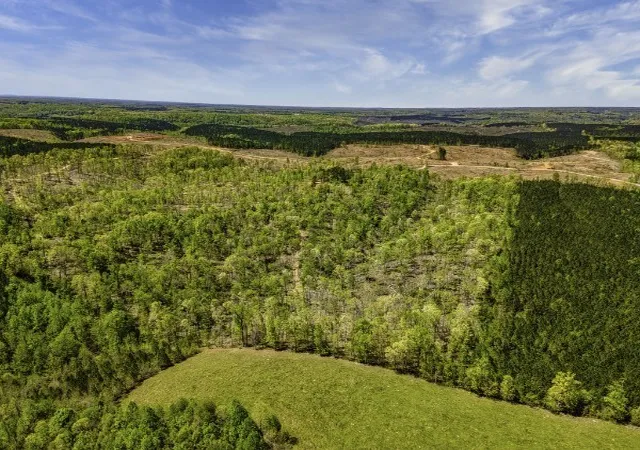 Homes for sale in Iron City, TN | 0 Cedar Grove Rd, Iron City, TN 38463 | MLS# 2819348