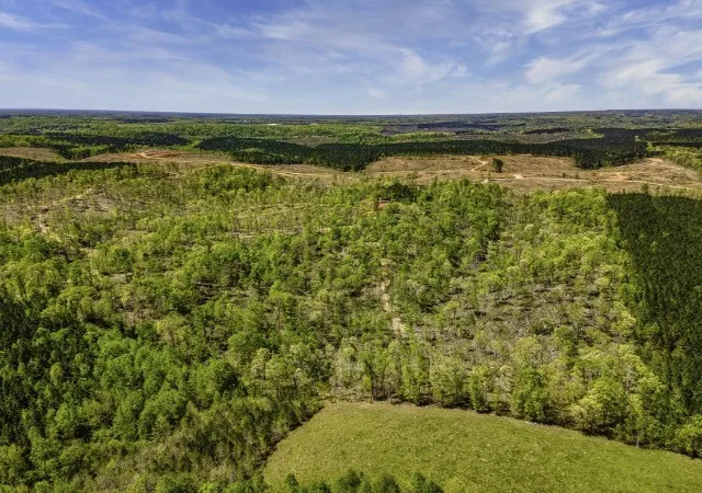 Homes for sale in Iron City, TN | 0 Cedar Grove Rd, Iron City, TN 38463 | MLS# 2819348