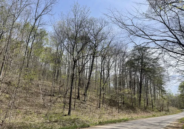 2nd image of 1 Brock Hollow Road, Pikeville, TN 37367 | MLS# 2819403