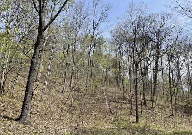 1st image of 1 Brock Hollow Road, Pikeville, TN 37367 | MLS# 2819403