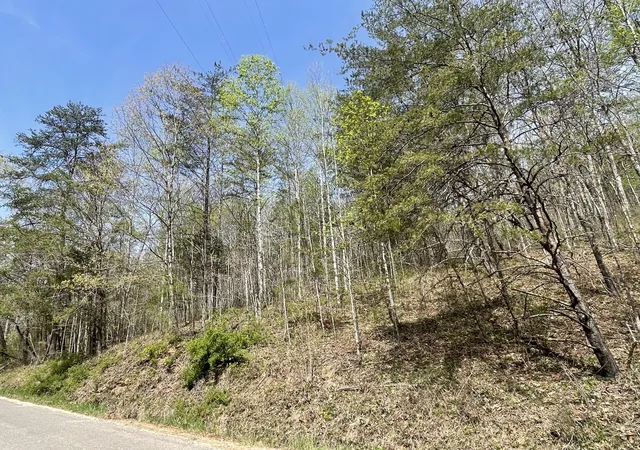 3rd image of 1 Brock Hollow Road, Pikeville, TN 37367 | MLS# 2819403