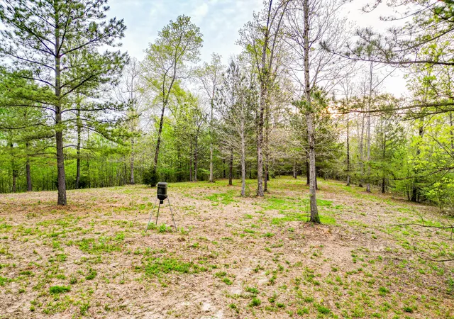 45th image of 920 Mason Bates Bend Rd, Centerville, TN 37033 | MLS# 2820732
