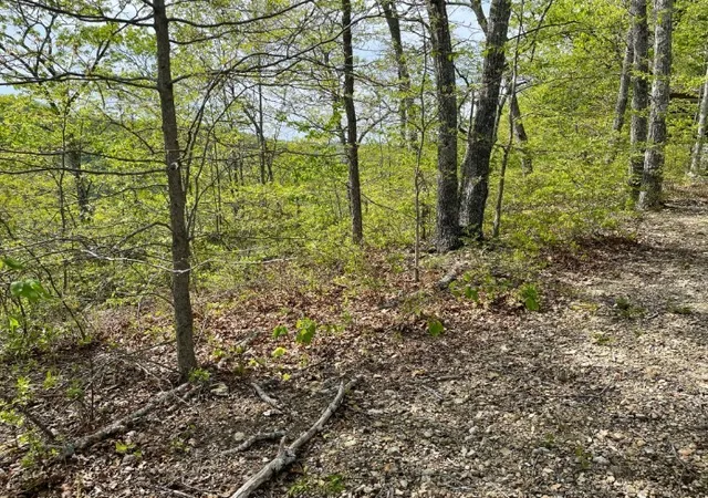 Photo 2 of Land for sale at 0 Hurricane Dr, Smithville, TN 37166 | MLS# 2820338 | Listing updated on 2026-09-05