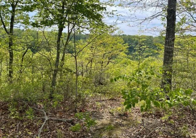 Photo 3 of Land for sale at 0 Hurricane Dr, Smithville, TN 37166 | MLS# 2820338 | Listing updated on 2026-09-05