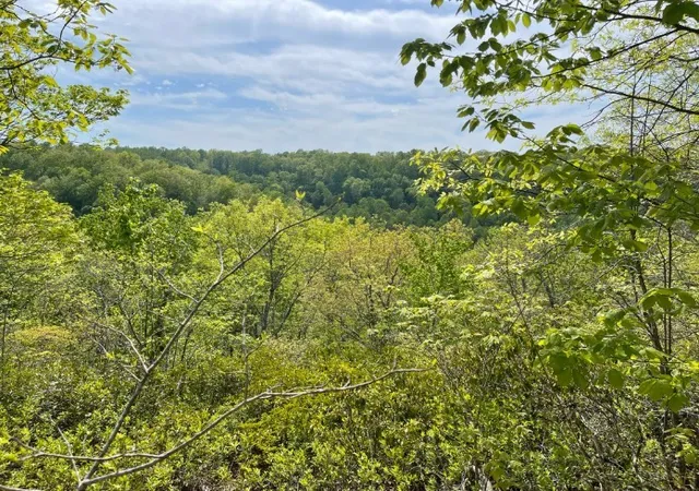Photo 4 of Land for sale at 0 Hurricane Dr, Smithville, TN 37166 | MLS# 2820338 | Listing updated on 2026-09-05