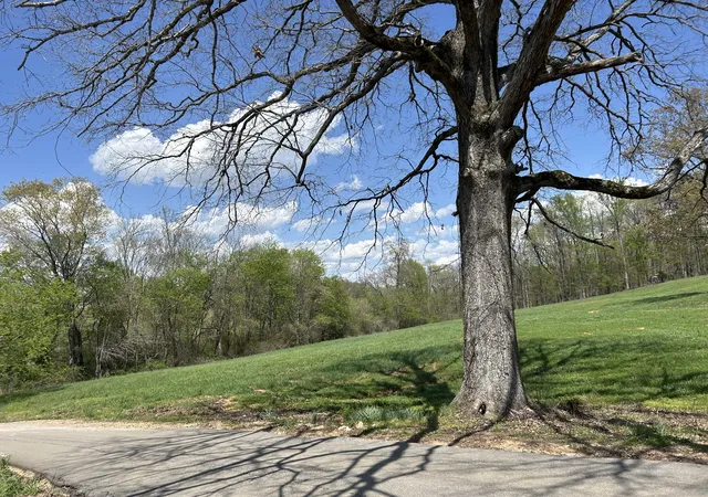 17th image of 141 Beuerlein Ln, Lawrenceburg, TN 38464 | MLS# 2821280