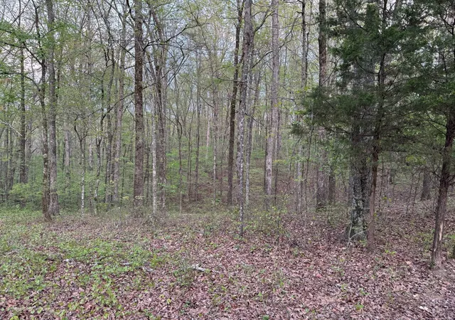 Homes for sale in Nunnelly, TN | 0 Old Richmond Rd, Nunnelly, TN 37137 | MLS# 2823303