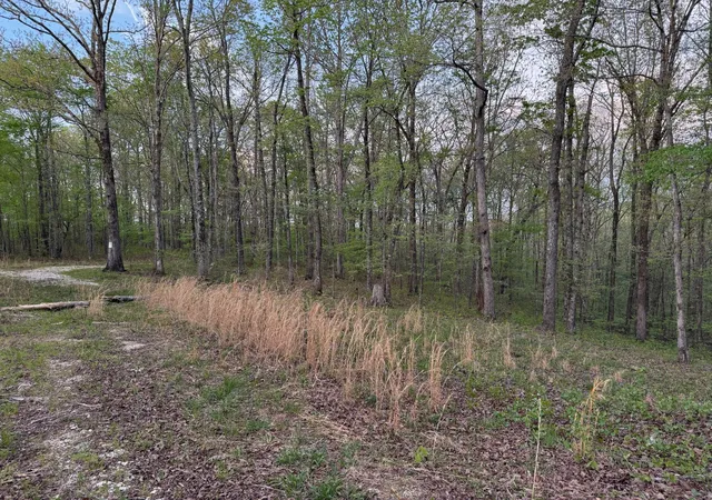 Homes for sale in Nunnelly, TN | 0 Old Richmond Rd, Nunnelly, TN 37137 | MLS# 2823303