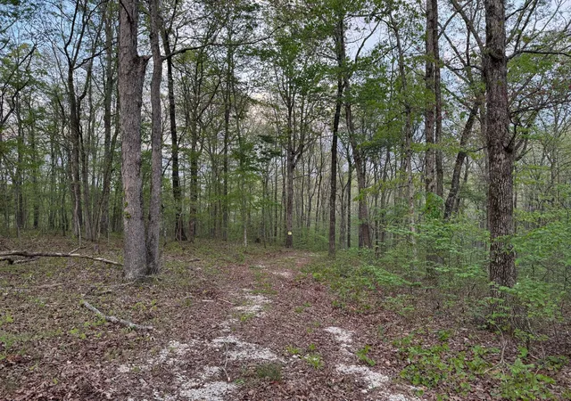 Homes for sale in Nunnelly, TN | 0 Old Richmond Rd, Nunnelly, TN 37137 | MLS# 2823303