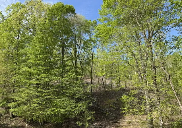 Photo 2 of Land for sale at 0 Waynesboro Hwy, Waynesboro, TN 38485 | MLS# 2821045 | Listing updated on 2026-04-23