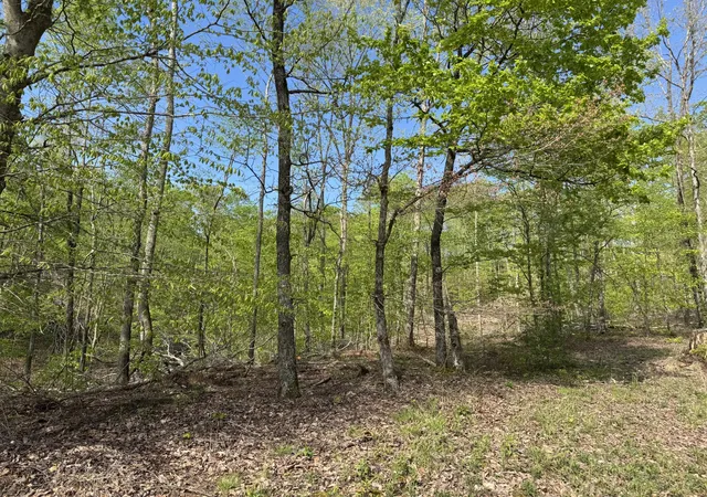 Photo 3 of Land for sale at 0 Waynesboro Hwy, Waynesboro, TN 38485 | MLS# 2821045 | Listing updated on 2026-04-23