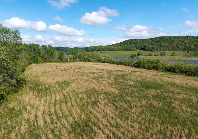 image of 0 C B Johnson Rd, Sparta, TN 38583 | MLS# 2822640