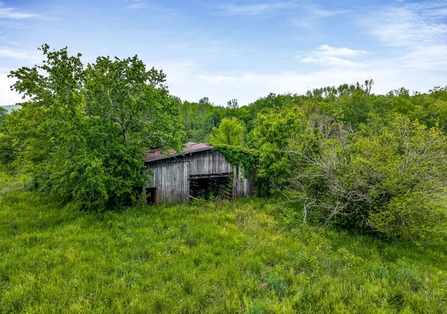 9th image of 0 C B Johnson Rd, Sparta, TN 38583 | MLS# 2822640