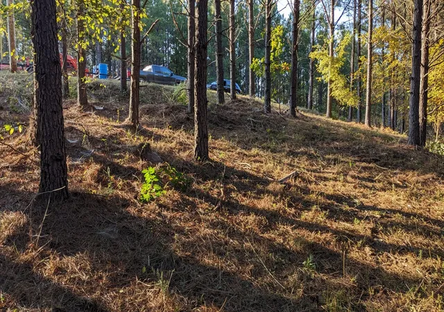 1st image of 309 Summit Dr, Linden, TN 37096 | MLS# 2821403