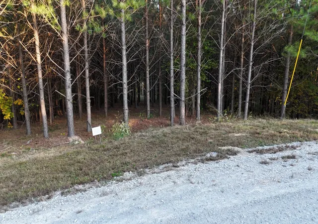 2nd image of 309 Summit Dr, Linden, TN 37096 | MLS# 2821403