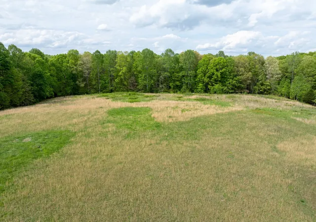 Homes for sale in Lyles, TN | 0 Pinewood Road, Lyles, TN 37098 | MLS# 2823093