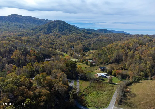 Homes for sale in Seymour, TN | 973 Graves Delozier Rd, Seymour, TN 37865 | MLS# 2955268