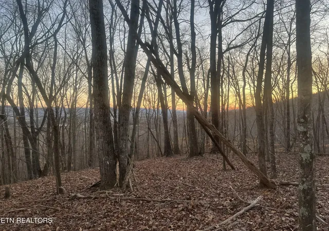 2nd image of 0 Old Spencer Rd   175 Acres, Pikeville, TN 37367 | MLS# 3011242