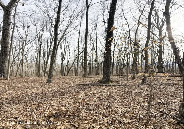50th image of 0 Old Spencer Rd   175 Acres, Pikeville, TN 37367 | MLS# 3011242