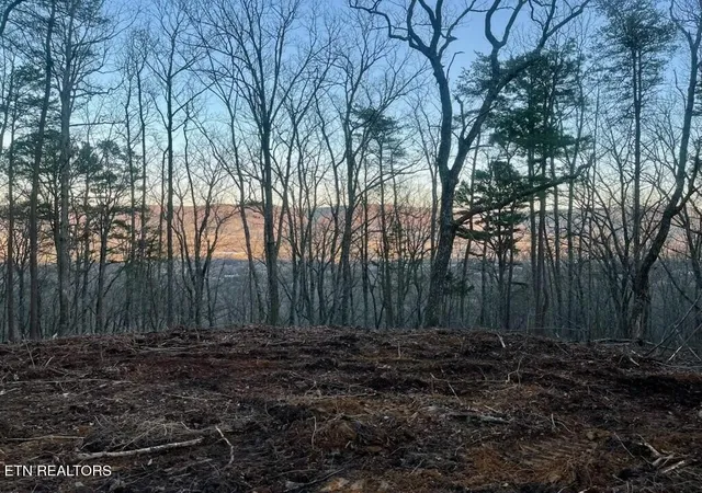 5th image of 0 Old Spencer Rd - 175 Acres, Pikeville, TN 37367 | MLS# 3011242