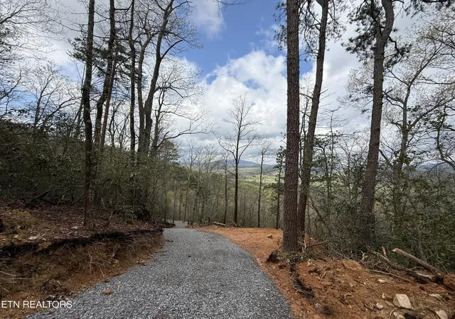 Photo 3 of Land for sale at 393 Green Forest Rd, Cosby, TN 37722 | MLS# 3078930 | Listing updated on 2026-08-30