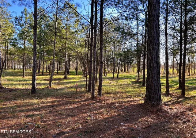 Photo 1 of Land for sale at 4 County Rd 950, Calhoun, TN 37309 | MLS# 3244234 | Listing updated on 2026-09-21