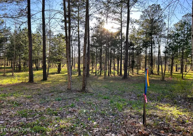 Photo 15 of Land for sale at 4 County Rd 950, Calhoun, TN 37309 | MLS# 3244234 | Listing updated on 2026-09-21