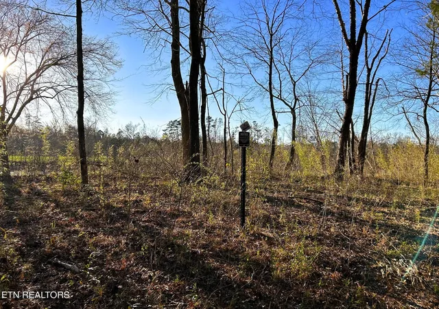 Photo 2 of Land for sale at 4 County Rd 950, Calhoun, TN 37309 | MLS# 3244234 | Listing updated on 2026-09-21