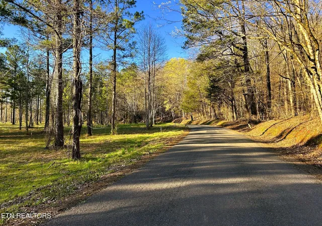 Photo 3 of Land for sale at 4 County Rd 950, Calhoun, TN 37309 | MLS# 3244234 | Listing updated on 2026-09-21