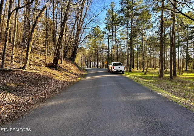 Photo 4 of Land for sale at 4 County Rd 950, Calhoun, TN 37309 | MLS# 3244234 | Listing updated on 2026-09-21